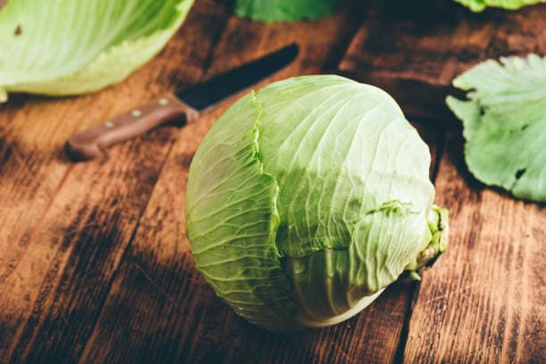تصویر 1 از خرید و قیمت کلم پیچ سفید رستورانی + فروش صادراتی